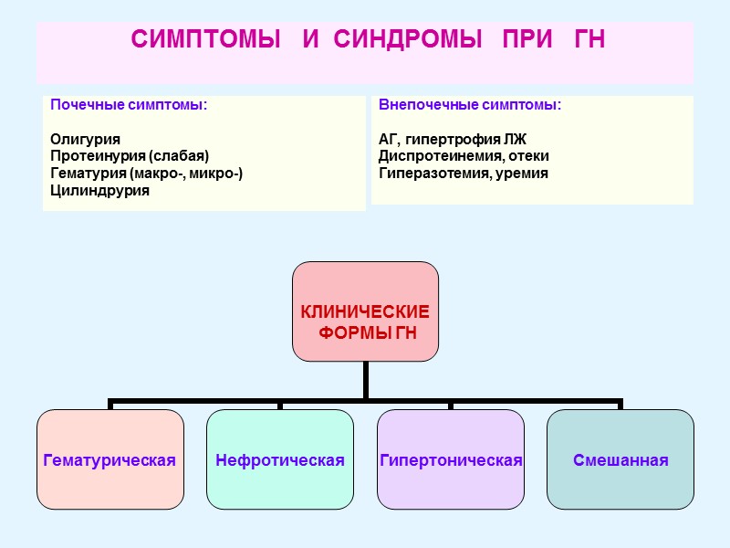 СИМПТОМЫ   И  СИНДРОМЫ   ПРИ   ГН  Почечные